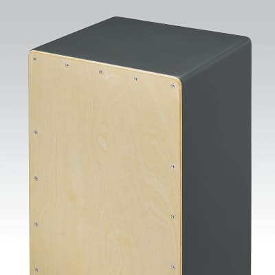Box Wire Cajon with Natural Faceplate image 2