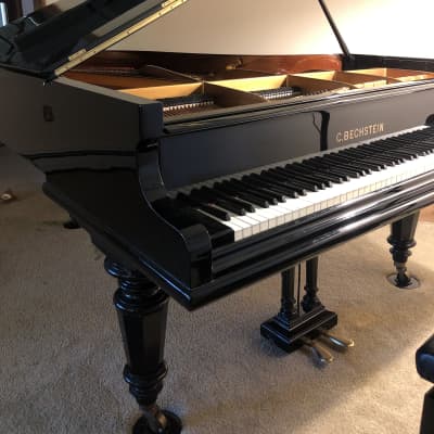 1921 Bechstein B Grand Piano 6'8"- priced to sell! image 1