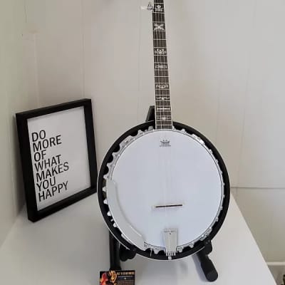 Washburn B10-A  - Americana Series 5 String Resonator Banjo w/ Floral-Style Inlays image 1
