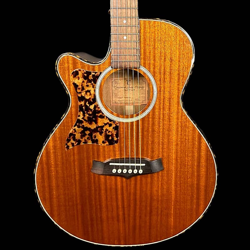 Tanglewood tw shop 47 b