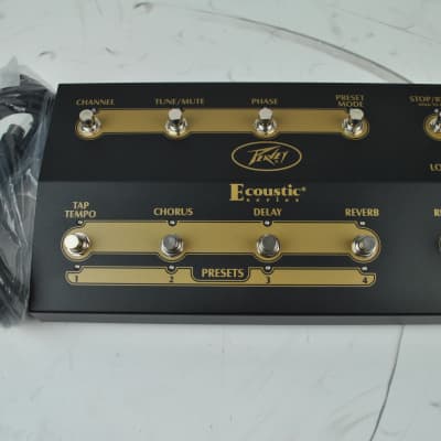 Peavey E110 Ecoustic 1x10" 100W Acoustic Guitar Combo Amp w/ Effects image 4
