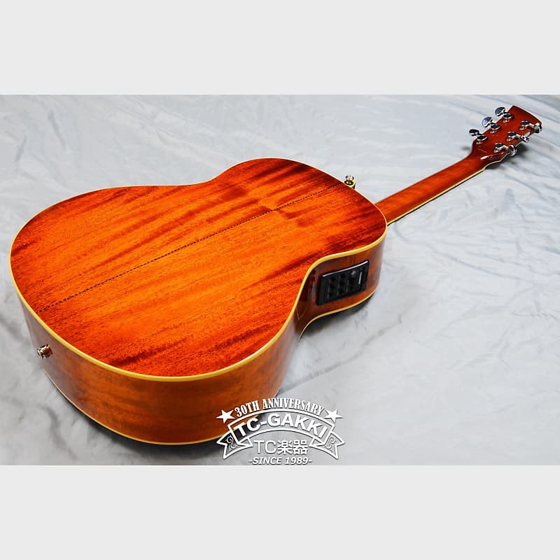 Ibanez AW601