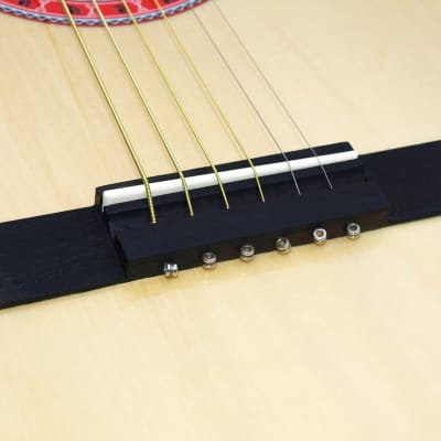 Indiana COLT Standard Size 36-Inch Spruce Top 6-String Acoustic Guitar w/Gig Bag image 7