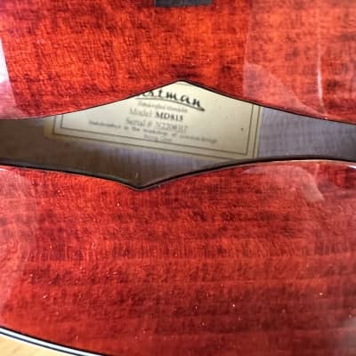 Eastman 815 2022 - Gloss image 11
