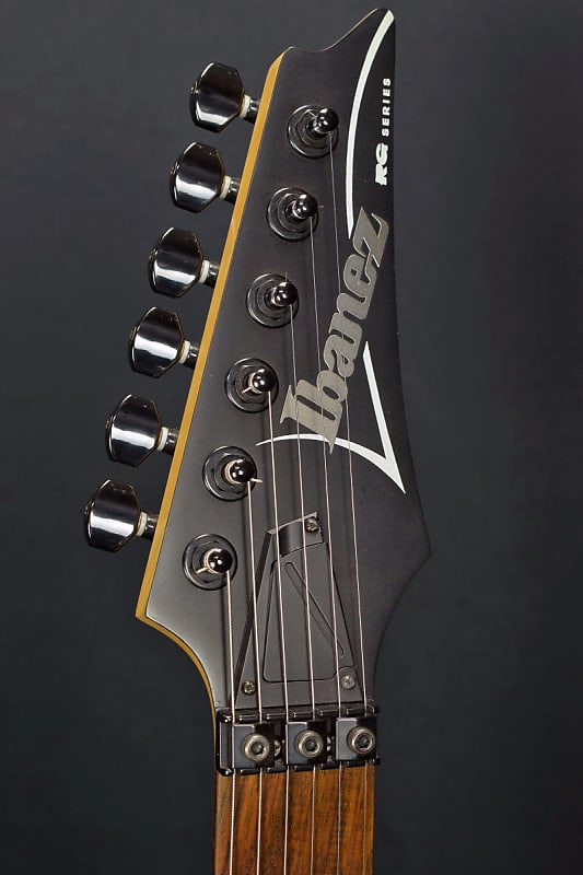 売れ筋がひ！ 【ジャンク RGD420Z Ibanez 抜け殻】 エレキギター