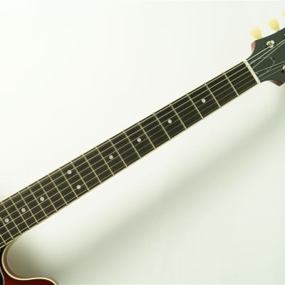 Seventy Seven Guitars EXRUBATO-STD-JT - ITB[BG] image 14