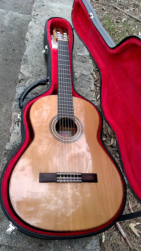 Ricardo Sanchis Carpio Classical guitar image 1