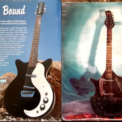 Danelectro Books... Out Of Print. image 2