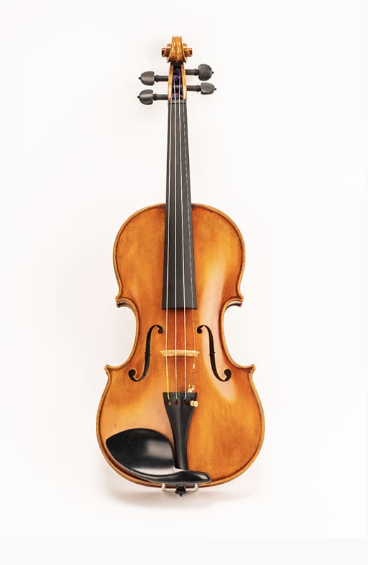 D Z Strad Model 509 - Maestro Old spruce Stradi 4/4 Full Size Violin  Powerful tone Antique Varnish