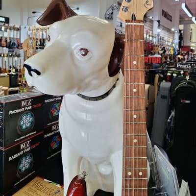 Fender Player Stratocaster Plus Top with Pau Ferro Fretboard 2018 - Present - Tobacco Sunburst image 6