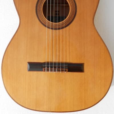 Merida Trajan T25 Classical Acoustic Guitar image 1