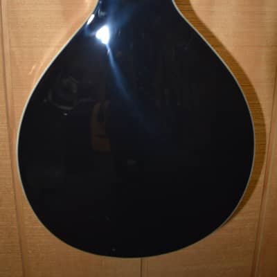 Indiana Mandolin 2000's - Sunburst image 10