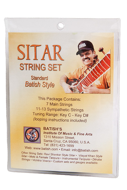 Batish STSTBS Pro Sitar Strings image 1