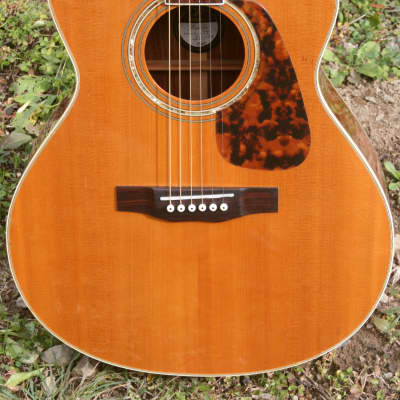 Morris Rumbler WA-808 Brazilian Rosewood Guitar with Cutaway 2000  Natural+Original Flight Case FREE | Reverb