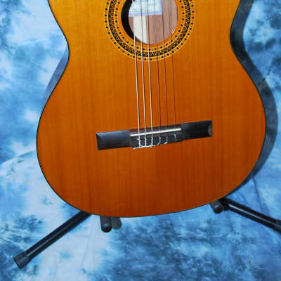 2012 New World Bubinga Model Classical Guitar Truss Rod New Strings Deluxe Original Hard Case image 2