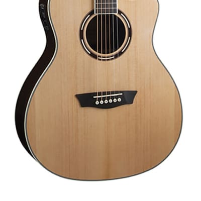Washburn AG70CEK | Apprentice Series Grand Auditorium Cutaway Acoustic Electric Guitar w/ Electronics & HSC. New with Full Warranty! image 1