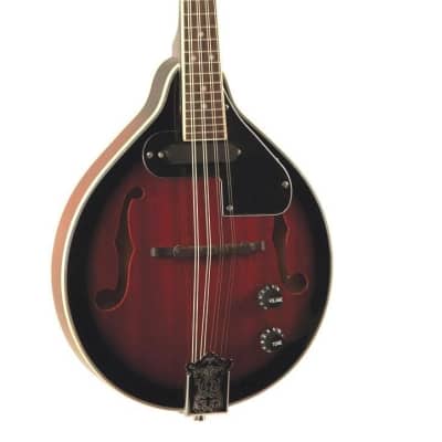 Savannah Acoustic Electric Mandolin image 1
