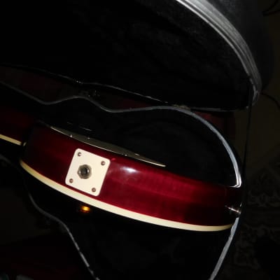 Mako Traditionals 56 Single Cut Cherryburst Guitar Copy w/SKB hardshell case NICE image 13