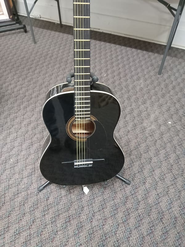 Johnson Acoustic Black Reverb