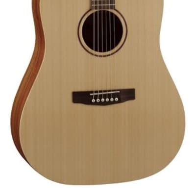 Cort Earth Series Earth Grand Acoustic Guitar w Bag Open Pore