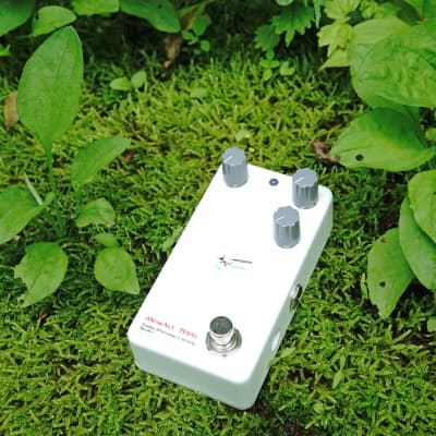 ギター Sunday Afternoon Is Infinity Bender Animals Pedal Sunday Afternoon Is Infinity Bender – Animals