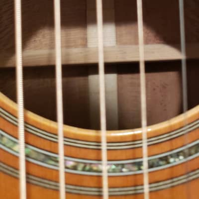 1990s Harvey Leach F29 Acoustic Guitar w/ Hard Case image 17