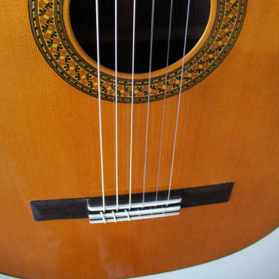 Brand New Francisco Navarro Cedar Top Concert Classical Guitar - 640 Scale image 5
