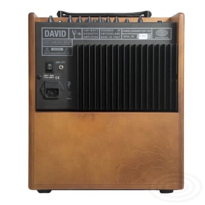Schertler DAVIDW 100 Watt Acoustic Guitar Amplifier image 3