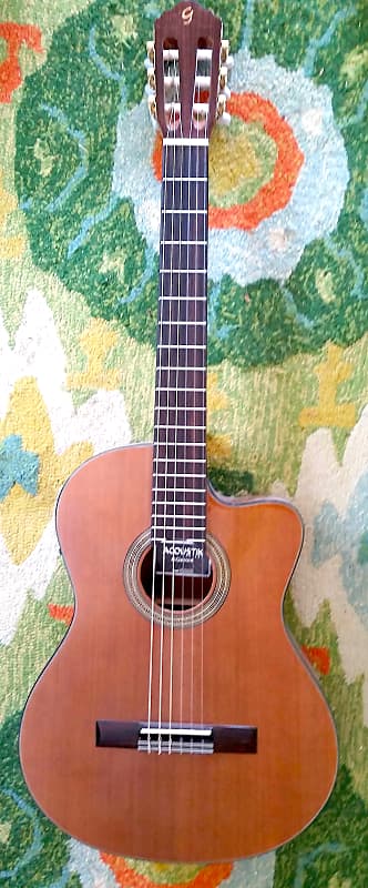 Giannini Classical  Acoustic / Electric Cut-a-way image 1