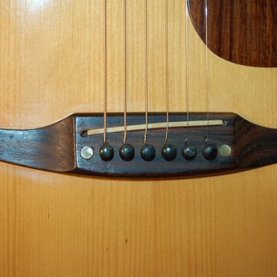 Video Demo 1975 Montano by Takamine F190 Folk Guitar Concert