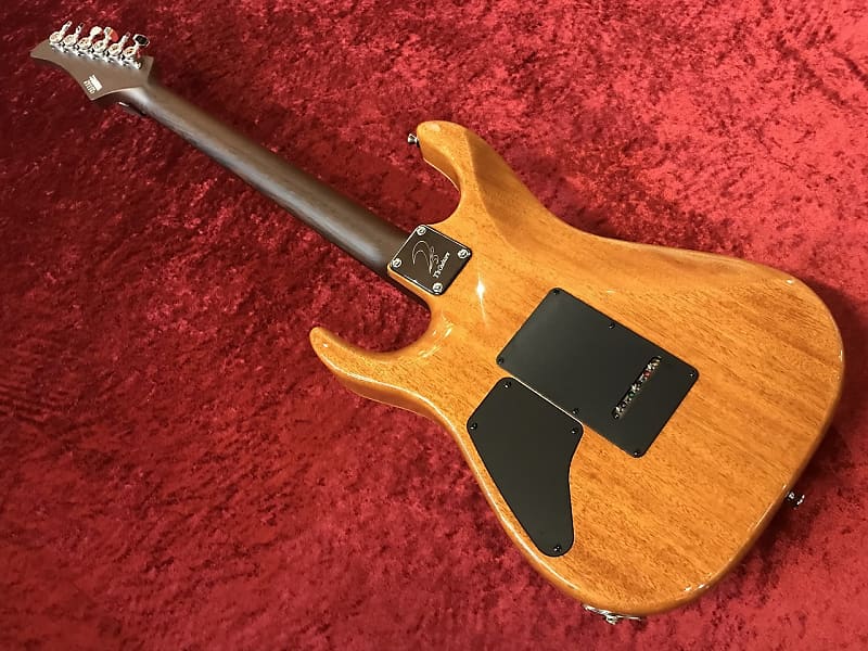 T's Guitars DST-24 