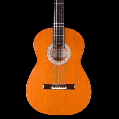 Graciliano Perez flamenco guitar “mixed earth” 2024 image 2