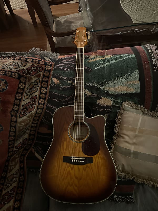 TAkamine G series EG333c Autumn burst Reverb