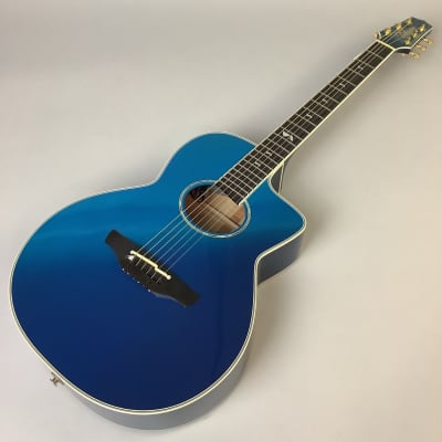 Takamine DSP615 | Reverb