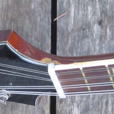 1967 Harmony H35 "Batwing" electric mandolin image 12