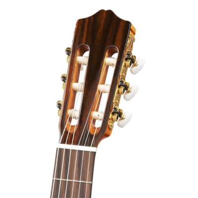 Cordoba C5-CET Thinbody Spalted Maple Nylon-String Acoustic