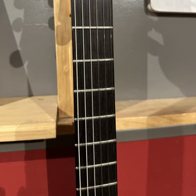 Renaissance SPG 70s - Smoked Translucent Lucite Guitar image 7