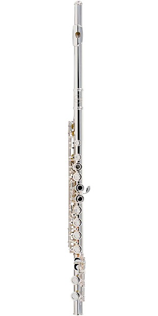 Allora AFL-250 Student Flute with Offset G, C-Foot image 1