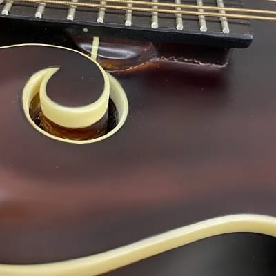 LUTHIER / PROJECT - The Loar Honey Creek LM-310F-BRB Brown Burst F Style Mandolin image 3