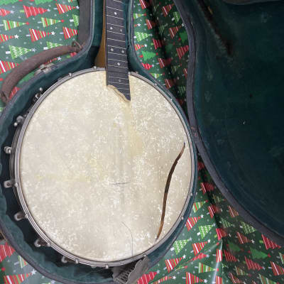 Banjomandolin Banjo mandolin 1920 image 7