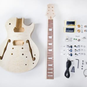 afrikansk lotus Precipice Do It Yourself DIY Electric Guitar Kit - Les Paul Style Hollow Body Build  Your Own | Reverb