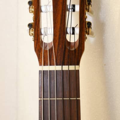 Kremona 6 String Classical Guitar, Ambidextrous (Rosa Morena) Used image 2