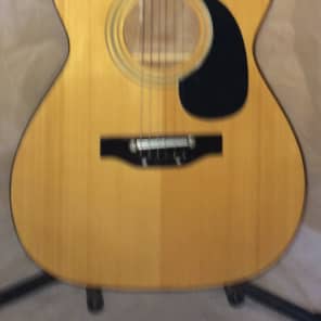 Vintage Unbranded marked WO20 4 80 Acoustic Guitar Bild 1