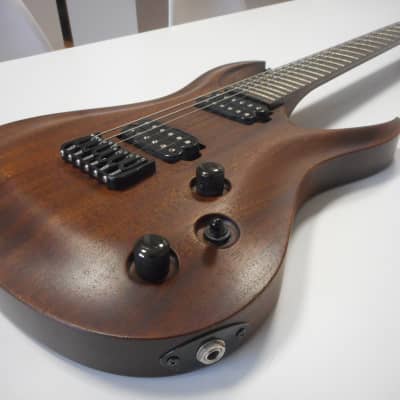 Ran Guitars Crusher 6 Custom with Paco Case and BKP Painkiller image 8