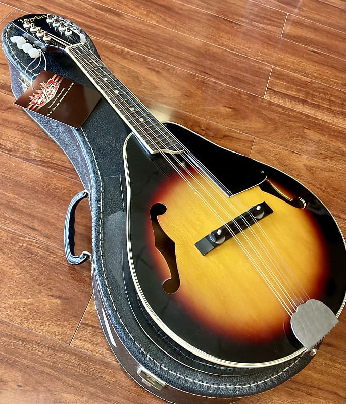 Dixon DM7 Astyle Mandolin with soft case 19701980s Reverb