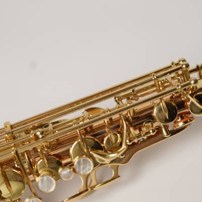 [In Stock]_Freeshipping! Yanagisawa Alto saxophone A WO-2 [AWO2]Bronze Brass Body image 7