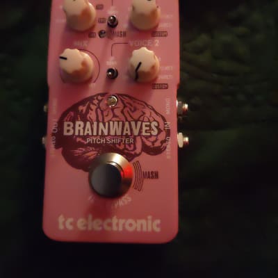 TC Electronic Brainwaves Pitch Shifter | Reverb