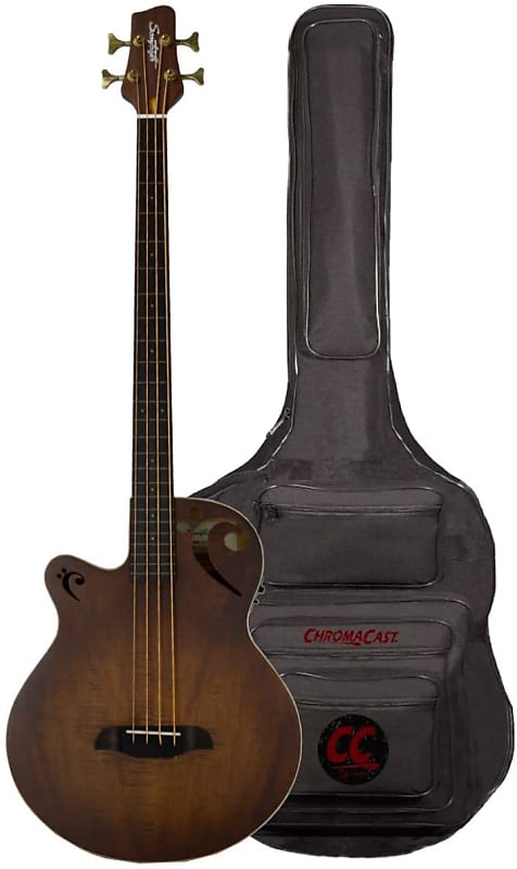 Sawtooth Left-Handed Rudy Sarzo Signature Fretless Acoustic-Electric Bass  Guitar