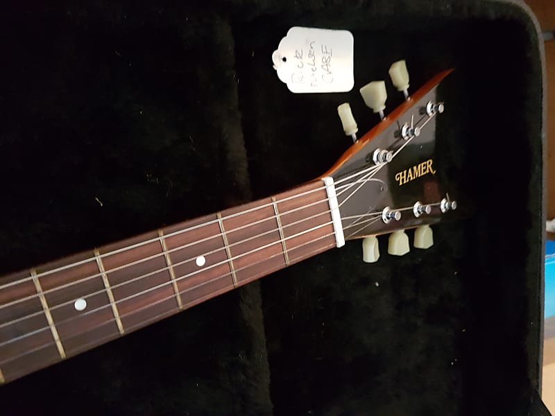 Hamer Rick Nielsen signature guitar Natural image 1