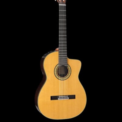 Takamine EH5C Classical Nylon String Acoustic-Electric Guitar with Case, Gloss Natural for sale